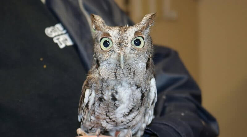 Mississippi Department of Wildlife to host fall education programs Photos from Mississippi Department of Wildlife, Fisheries, and Parks's post