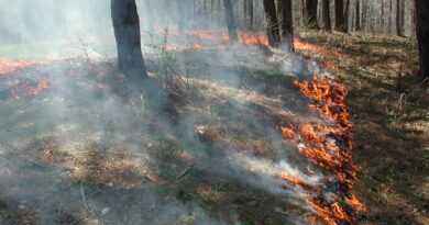 Mississippi Wildlife Officials Highlight Nontraditional Prescribed Fire Technique Photos from Mississippi Department of Wildlife, Fisheries, and Parks's post