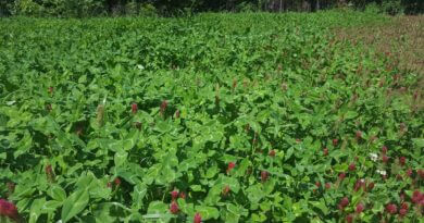 Farmers and landowners urged to understand seed quality for food plots Photos from Mississippi Department of Wildlife, Fisheries, and Parks's post