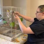 Baldwyn High School Senior Shadows at Saltillo Animal Care Center Photos from Baldwyn School District's post