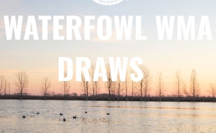 Applications are OPEN for the 2026 WMA Draw Hunts for waterfowl!⁠